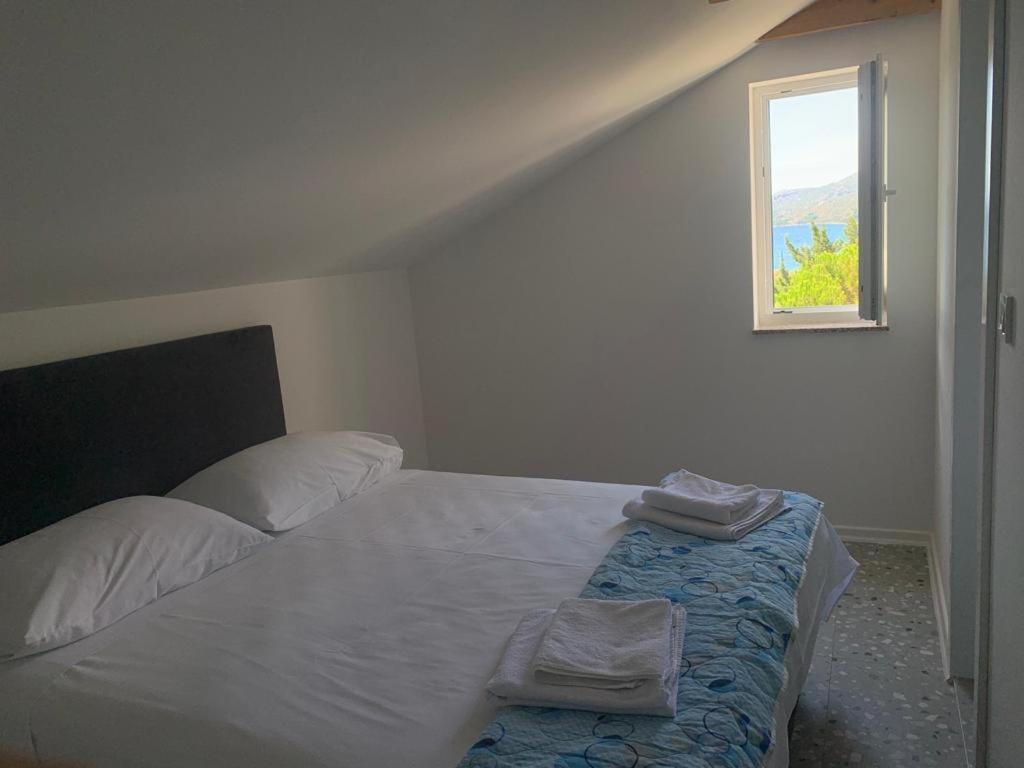 Maria Apartments สตารีกราด-ปาเคลนีซา ภายนอก รูปภาพ